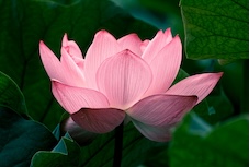 Psychic Development Intensive